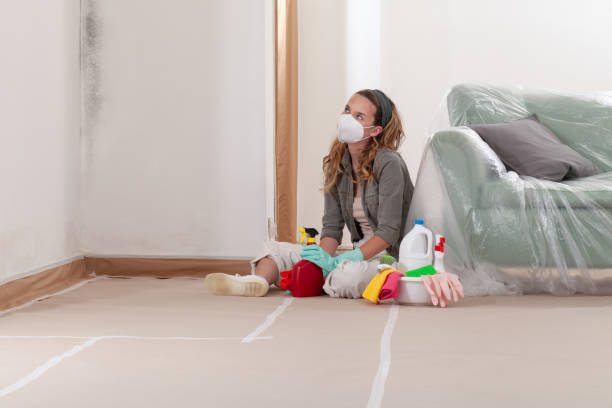 Reliable Mold Remediation contractor in Lafayette, OR by WQB Mold Removal